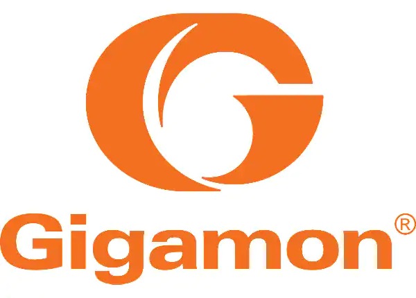 Gigamon Power Brick - power supply