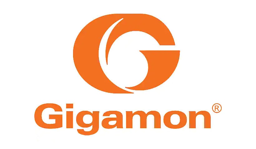 Gigamon Power Brick - power supply