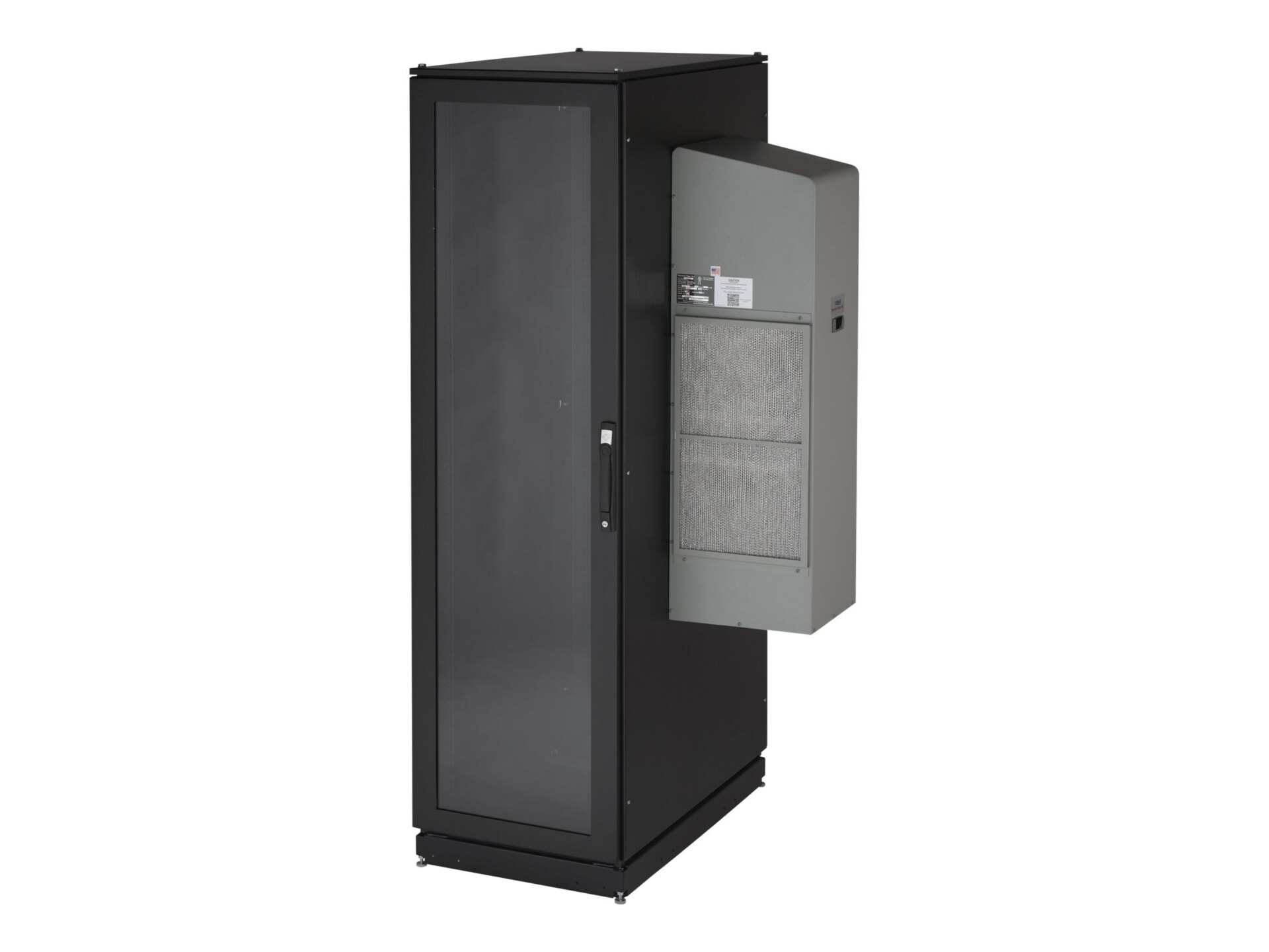 Black Box ClimateCab NEMA 12 Server Cabinet with M6 Rails system cabinet -