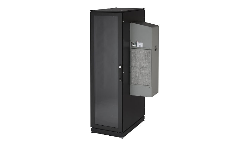 Black Box ClimateCab NEMA 12 Server Cabinet with M6 Rails system cabinet -
