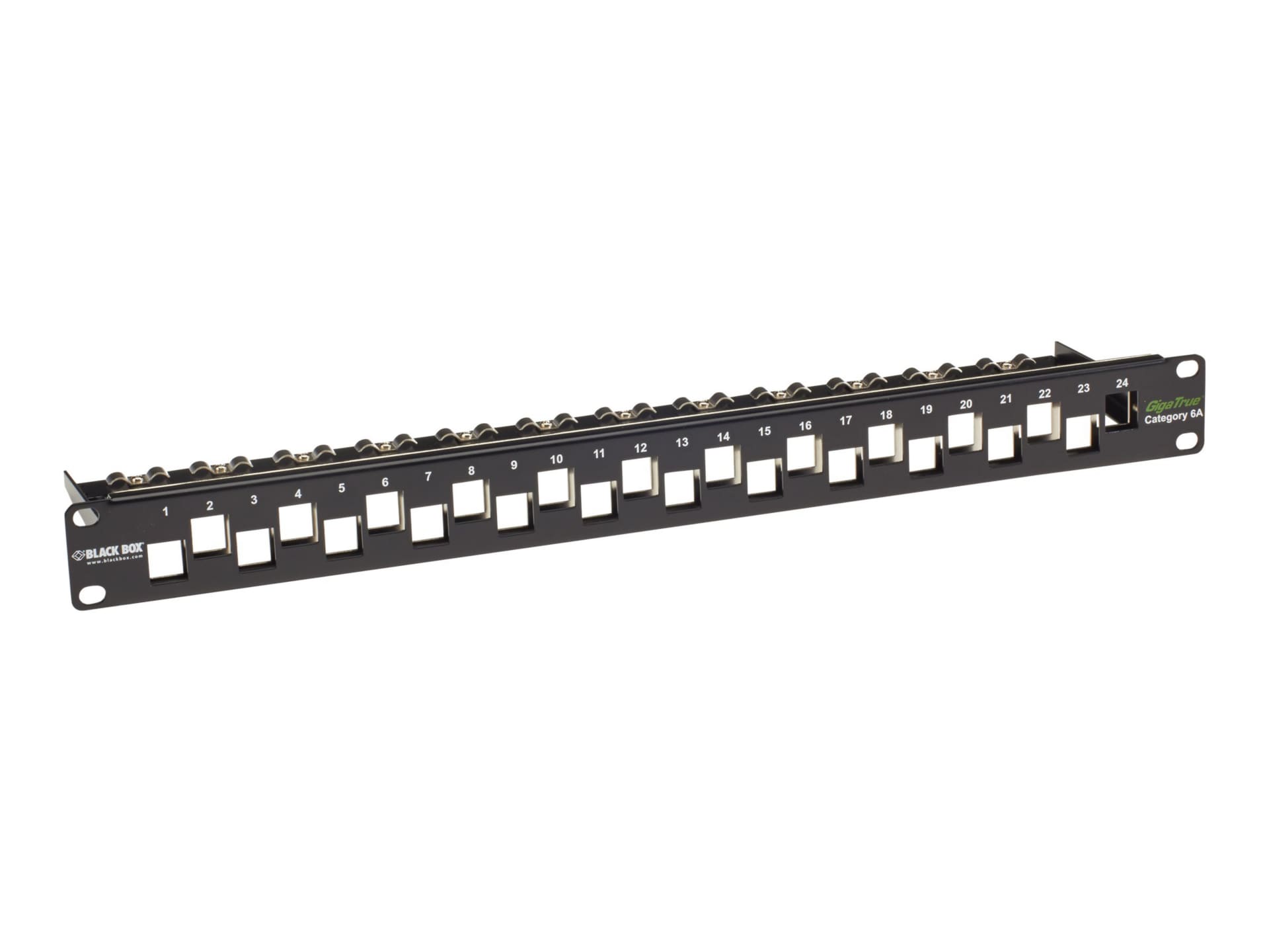 Black Box GigaTrue CAT6A Staggered Blank Patch Panel - patch panel - 1U - 1