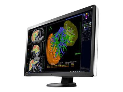 EIZO RadiForce RX650 Single Head - LED monitor - 6MP - color - 30" - with AMD FirePro W5000 dual Display Port Video Card