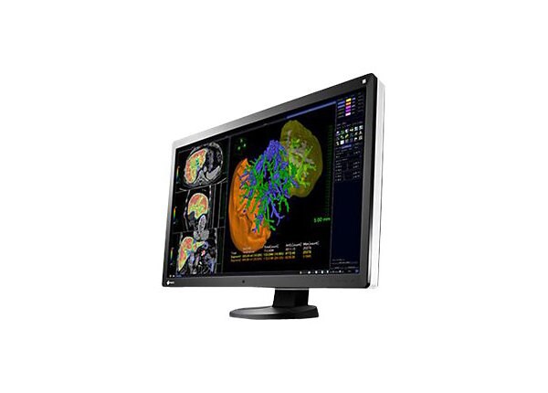 EIZO RadiForce RX650 Single Head - LED monitor - 6MP - color - 30" - with AMD FirePro W5000 dual Display Port Video Card