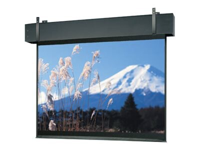 Da-Lite Professional Electrol Square Format - projection screen - 180 in (179.9 in)