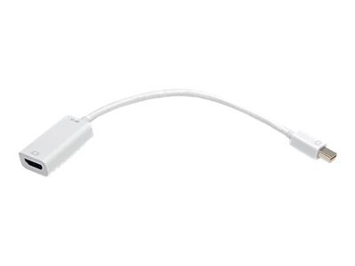 Female on sale mini displayport