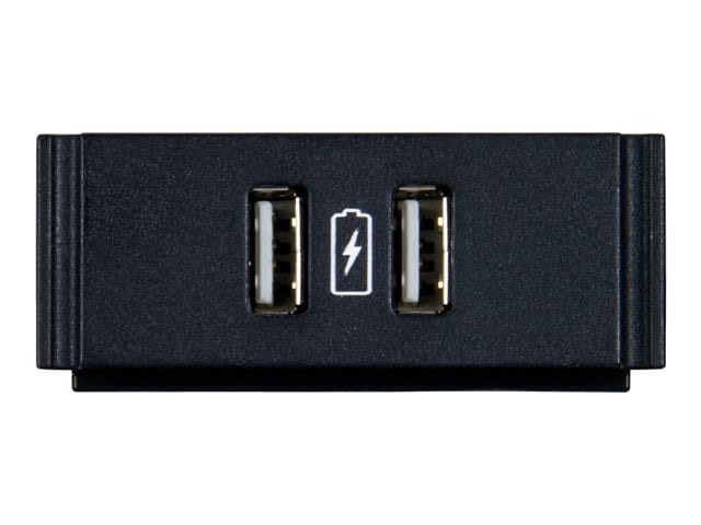 AMX Dual USB Power Module with Printed Charging Symbol