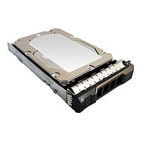 Total Micro - hard drive - 300 GB - SAS