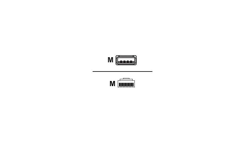 Honeywell MX009 USB Keyboard Emulation Cable - keyboard wedge cable