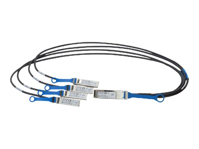 Intel Ethernet QSFP+ Breakout - network cable - 10 ft