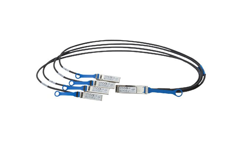 Intel Ethernet QSFP+ Breakout - network cable - 10 ft