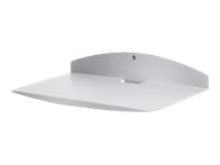 Capsa Healthcare Printer Shelf mounting component - for printer