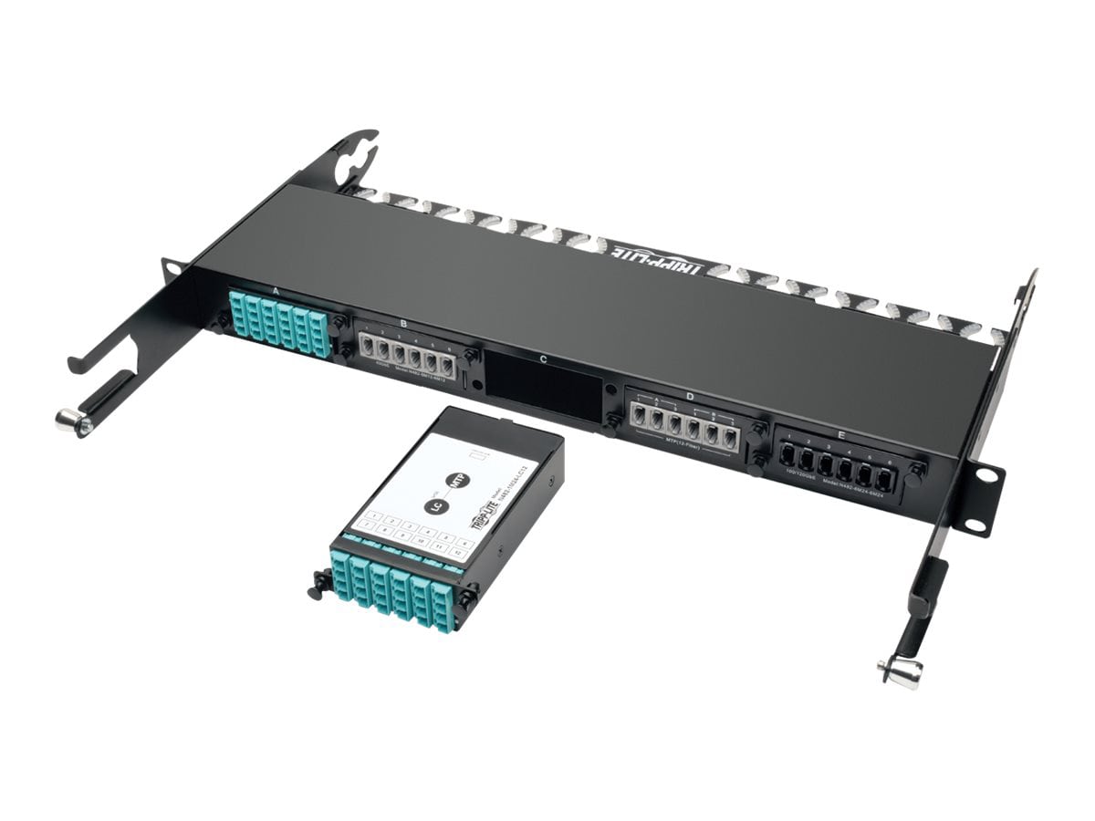 Tripp Lite 24-Fiber Patch Panel MTP/MPO to x12 LC 10Gb Breakout Cassette - fiber optic cassette