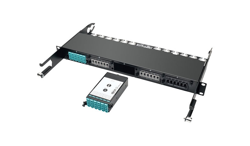 Tripp Lite 24-Fiber Patch Panel MTP/MPO to x12 LC 10Gb Breakout Cassette - fiber optic cassette