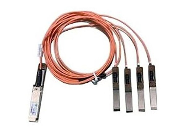 Cisco Direct-Attach Active Optical Cable - network cable - 33 ft