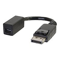 C2G DisplayPort to Mini DisplayPort Adapter - Black - M/F - DisplayPort ada
