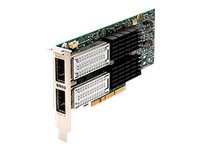Oracle Dual Port QDR InfiniBand Adapter M3 - network adapter