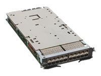 Brocade MLX - expansion module