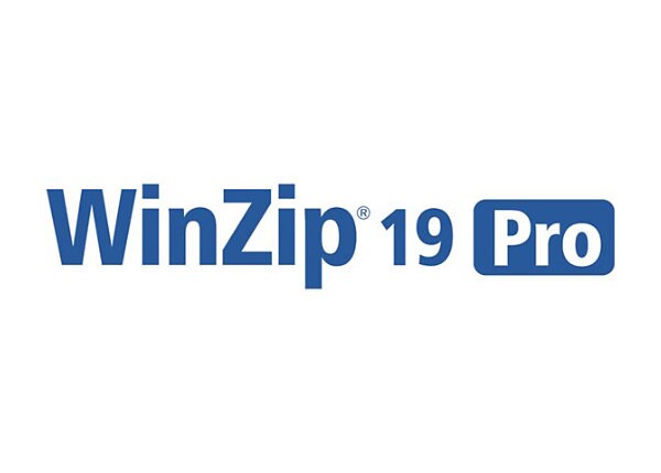 WinZip Pro ( v. 19 ) - license