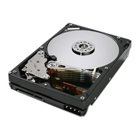 Lenovo Enterprise - hard drive - 1 TB - SATA 6Gb/s