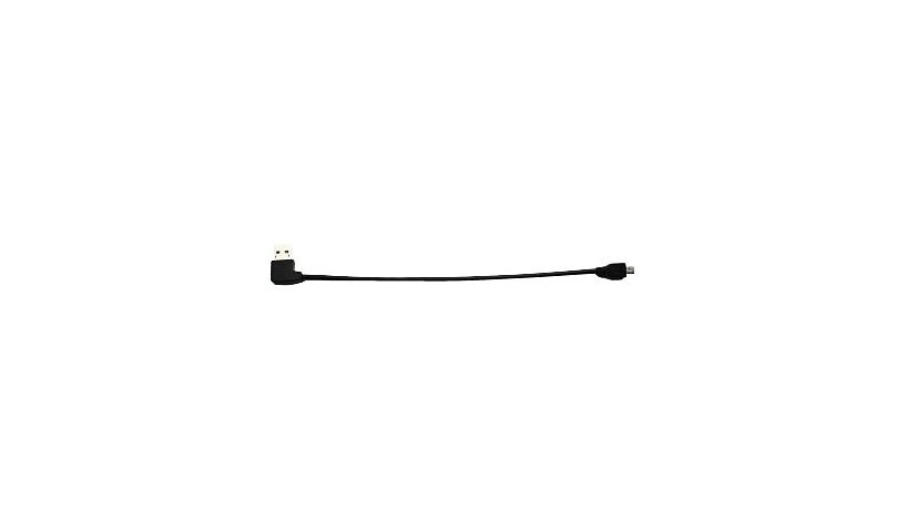 Kensington Charge & Sync Cable - câble de chargement / de données - 20 cm