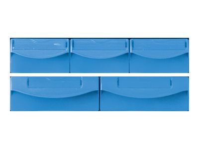 Capsa Healthcare - Standard Bins Accessory - Locking Blue Bin Kit 2 Med 3 Small (FG9M3823)