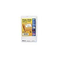 Avery Print or Write Multi-Use Labels - labels - 100 pcs. - 2 in x 4 in
