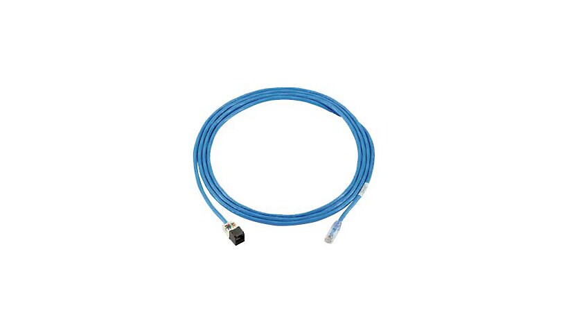 Panduit PanZone Cable Assemblies - patch cable - 15 ft - blue