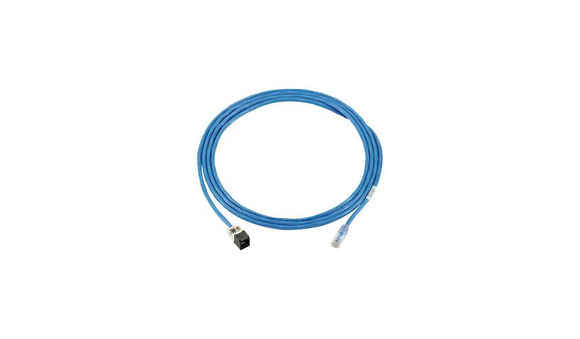 Panduit PanZone Cable Assemblies - patch cable - 60 ft - blue