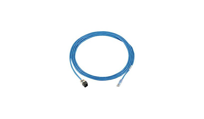 Panduit PanZone Cable Assemblies - patch cable - 75 ft - blue