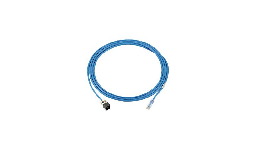 Panduit PanZone Cable Assemblies - patch cable - 130 ft - blue