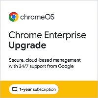 Chrome Enterprise Upgrade - Perpetual