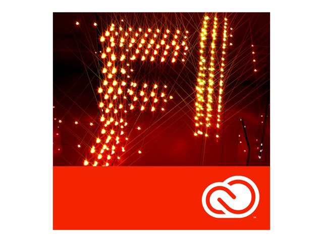 Adobe Flash Professional CC - subscription license (30 months)