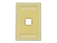 Hubbell wall mount plate