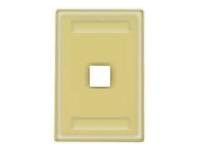 Hubbell wall mount plate