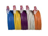 Allen Tel AT16 Series patch cable - 2 ft - green