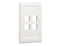 Panduit NetKey Flush Mount Screw-On Faceplates with Labeling - faceplate
