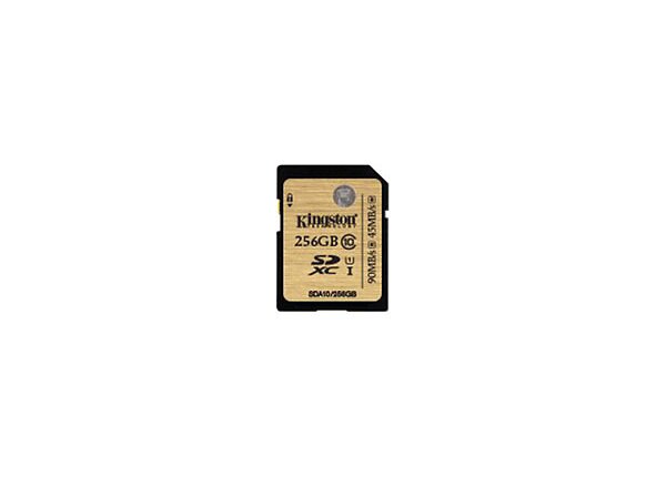 Kingston - flash memory card - 256 GB - SDXC