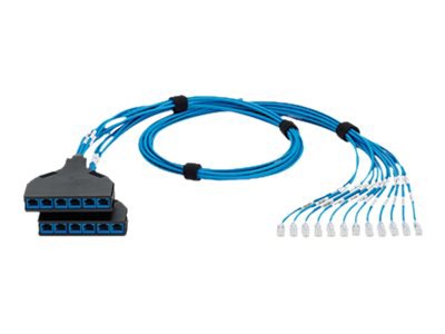 Panduit QuickNet SD Switch Port Harness - network cable - 10 ft - blue