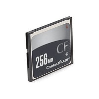 Proline - flash memory card - 256 MB - CompactFlash