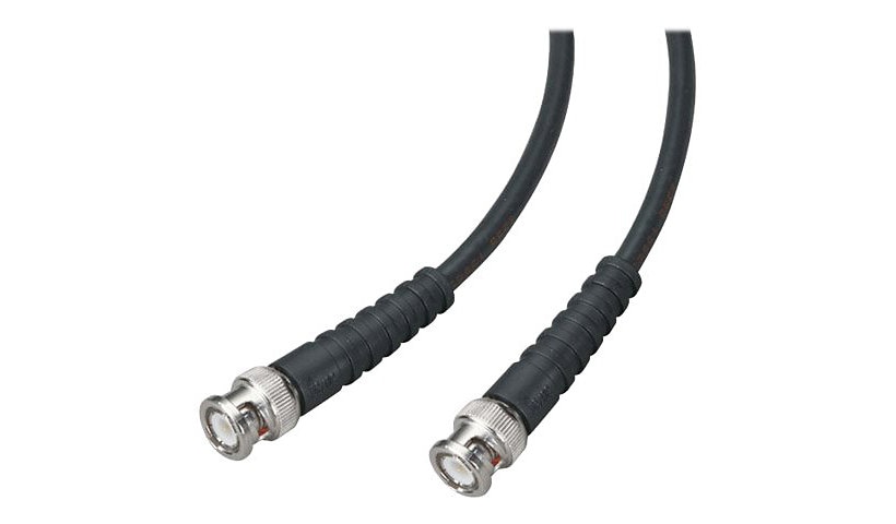Black Box network cable - 25 ft - black