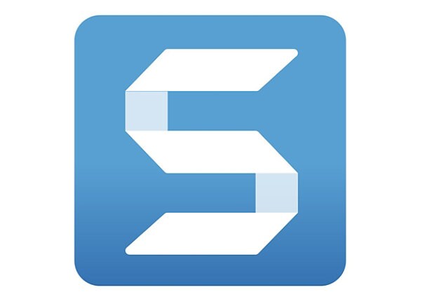 SnagIt Enterprise License (v. 12) - license