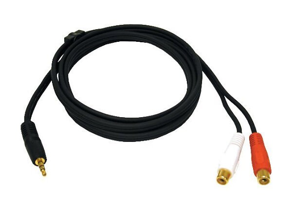 CTG 6FT 3.5MM STEREO M TO RCA F