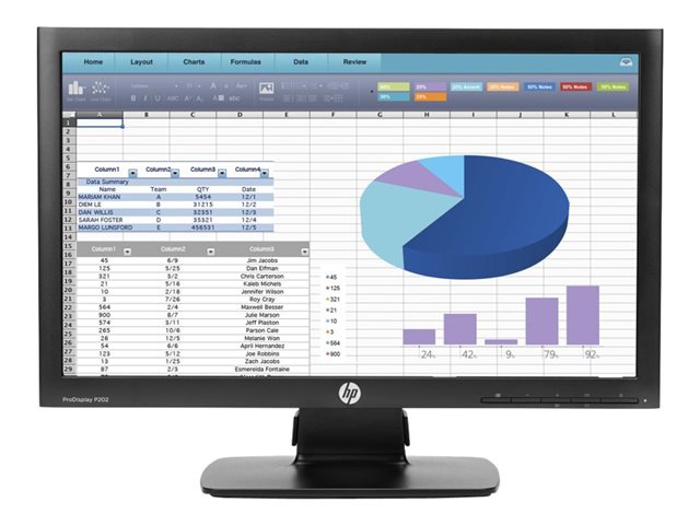 HP ProDisplay P202 - LED monitor - 20"