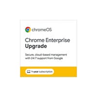 Chrome Enterprise Upgrade - 8MO Prorate License