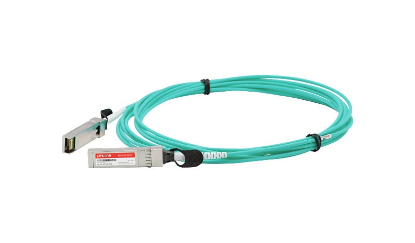 Proline 10GBase direct attach cable - TAA Compliant - 20 m