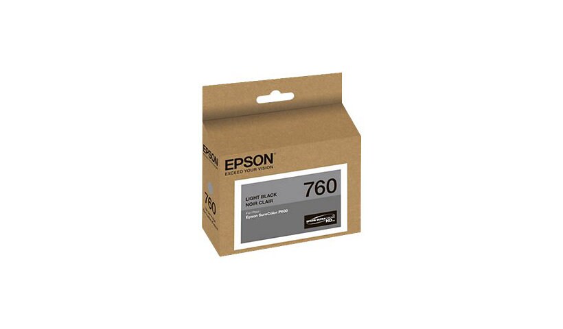 Epson 760 - light black - original - ink cartridge