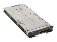 Brocade MLX - expansion module