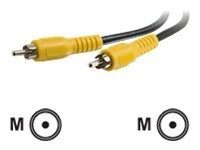 C2G Value Series 3ft Value Series Composite Video Cable - câble vidéo - vidéo composite - 91 cm