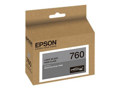 Epson 760 - light black - original - ink cartridge