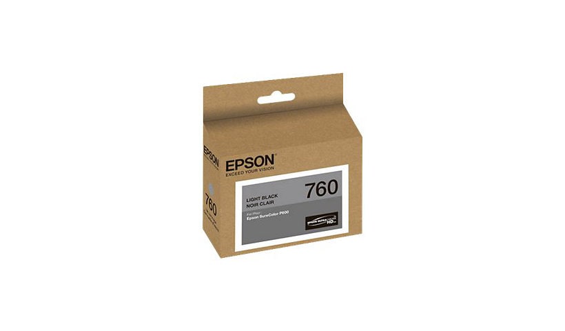 Epson 760 - light black - original - ink cartridge